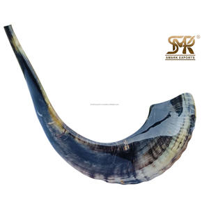 Corne de bélier Shofar de qualité supérieure fabriquée à la main pour une utilisation cérémonielle juive Pratiques spirituelles Culte et événements festifs traditionnels - Product Image 1