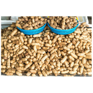 Snacks de noix croustillantes, cacahuètes grillées enrobées de farine - Product Image 6