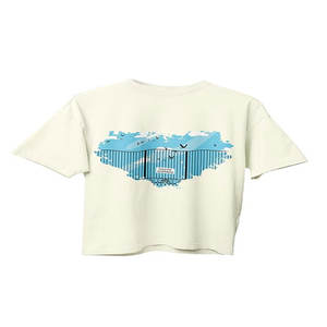 Camiseta extragrande de algodón de peso pesado personalizada, camiseta Vintage Hip Hop para hombre, camisetas lisas de 250g - Product Image 1