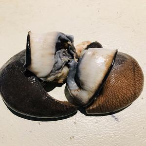 Frozen African Snail Vacuum Pack 5-8cm <b>Shell</b> Cleaned Ready Cooking Rich Protein Traditional Delicacy Fast Delivery Buy Premium - Product Image 3