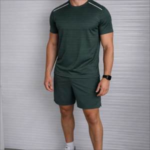 Ensemble de sport d'été 2 pièces pour homme Denish Sports Wear, respirant, 100 % polyester, séchage rapide, t-shirt à manches courtes, short de course, gym - Product Image 6