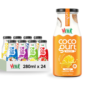 Mango Flavor Cocogurt Drink OEM ODM Private Label Beverage Manufacturer Wholesale Supplier - Product Image 1