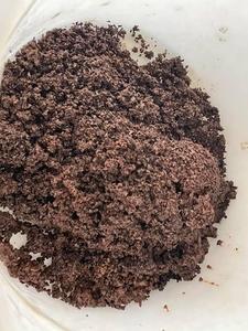โรงงานจำหน่ายกากกาแฟจำนวนมากสำหรับปรับปรุงดินและทำปุ๋ย - Product Image 5