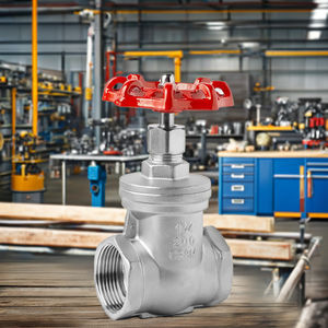 วาล์วหยุดเกลียวสำหรับผู้หญิง DN15 SS304วาล์วประตูแบบเกลียวสแตนเลสขนาด1/2 "BSP - Product Image 2