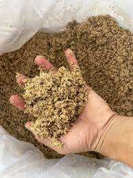 Supplément de grains de moût de bière pour cheval et poisson 28% de protéines Nutrition douce Soutient la digestion et le gain de poids rapide chez le bétail - Product Image 2