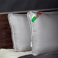 Almohada Cervical Firme de Perfil Bajo, Resistente a Olores, Hipoalergénica, Ecológica, Antibacteriana, con Infrarrojos Lejanos, Diseño Sólido para Parejas