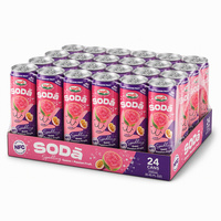 Private Label Cranberry Munt Gember Sprankelende Fruitdrank 320ml Aluminiumblik OEM Drankleverancier