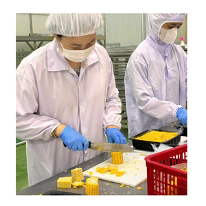 Granos de maíz congelados premium para salsas de sopa y producción de comidas listas para comer - Product Image 2