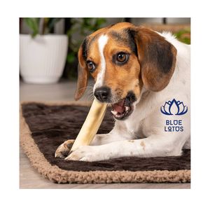 Bâton à mâcher pour chien en bois de café de qualité supérieure, favorise la satisfaction de la mastication et encourage les jeux actifs 2026 - Product Image 1