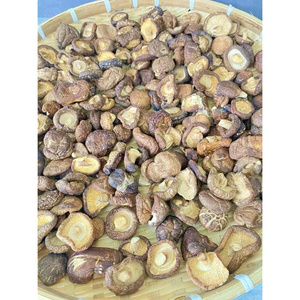เห็ดอบแห้งขายส่งแบบแพ็คใหญ่ บรรจุภัณฑ์ตามสั่ง ขนมผักกรอบ ผลไม้อบแห้งธรรมชาติ ขายส่ง - Product Image 5