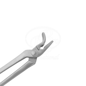 เครื่องมือตอกตะปูเกือกม้าแบบมืออาชีพ ขนาด 12 นิ้ว ทำจากเหล็ก - Product Image 2