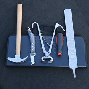 Kit d'outils de fermeur sur mesure pour le soin des sabots de cheval, avec pince à sabots pour poulains, marteau de sabotage, couteau à sabots, râpe à sabots à manche en bois - Product Image 1