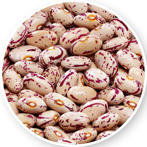 Bulk White Speckled Kidney <b>Bean</b> for food High Quality Light Speckled Kidney <b>Beans</b> /Pinto <b>Beans</b>/Sugar <b>Beans</b> - Product Image 6