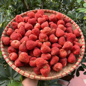 Fraises lyophilisées du Vietnam, fruits déshydratés naturels frais, fournisseur en gros, fabricant, exportateur, sans colorants artificiels - Product Image 1