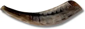 Shofar Casher en Corne de Bélier Sculptée, Grande Taille, Naturellement Poli, 10-18 Pouces, Éco-responsable, Artisanat FAIZA, Uttar Pradesh - Product Image 6