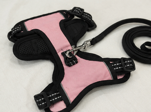 Arnés Clásico para Perro de Nailon Sólido Rosa, Ajustable, Transpirable, Acolchado, Reflectante, Talla Pequeña, Cierre de Hebilla para Perros - Product Image 5