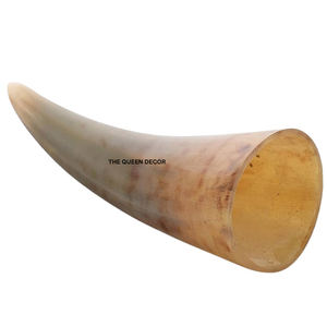 Jarrón Decorativo de Lujo para el Hogar y Exhibición de Flores, Jarrón de Jardín Hecho a Mano con Forma de Cuerno, Maceta Única Orgánica Pulida - Product Image 1