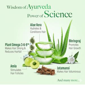 ผลิตภัณฑ์ความงามและดูแลส่วนบุคคล เคช คิง แชมพูอายุรเวทป้องกันผมร่วง ผสมว่านหางจระเข้และสมุนไพร 21 ชนิด 340 มล. - Product Image 2