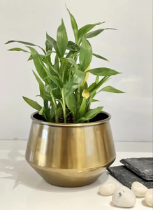 Maceta Metálica con Soporte para Plantas, para Sala de Estar, Balcón, Jardín, Interior y Exterior, Contenedor Decorativo para Plantas, Moderno y Elevado - Product Image 2