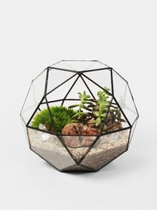 Florero de vidrio para decoración del hogar, Terrario de planta de vidrio geométrico, rectangular, oro rosa, flores de invernadero - Product Image 4