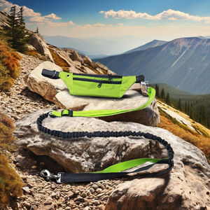 สายจูงสุนัขแบบแฮนด์ฟรีพร้อมกระเป๋าคาดเอวสำหรับวิ่งจ๊อกกิ้ง เชือกไนลอนคุณภาพสูง สายรัดปรับได้ทุกขนาด ซักมือได้ - Product Image 1