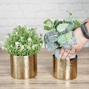 Juego de 3 Macetas Decorativas de Hierro con Acabado Dorado, Perfectas para Plantas de Interior, Suculentas, Hierbas y Decoración Moderna para el Hogar y la Oficina - Product Image 2