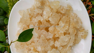 Gomme tragacanthé GEM de haute qualité en gros pour le marché mondial - Product Image 5