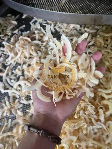 Haute qualité cuit au four grillé noix de coco puce Texture dure naturel doux savoureux saveur collation saine fabriqué au Vietnam en gros - Product Image 4