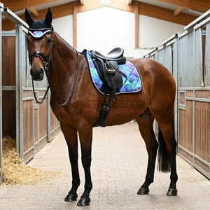 Wholesale 3pcs Equestrian Set Saddle Pad Ear <b>Bonnet</b> Protective Brushing Boots Cotton Material Anti Friction Riding Equipment - Product Image 2