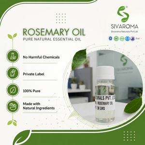 Huile essentielle de romarin de haute qualité pour les fabricants de produits cosmétiques, de soins capillaires et de soins personnels B2B - Product Image 1