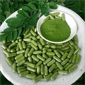 Poudre de feuilles de Moringa naturelle, extrait à base de plantes en capsules, 120 unités, extrait par solvant, qualité alimentaire, en flacon pour la nutrition quotidienne - Product Image 1