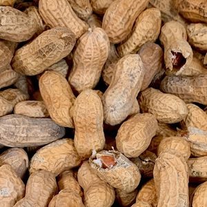 Arachides Indiennes Géantes en Gros 100% Naturelles, Noyaux d'Arachides Bruts Roses Rouges Blanchis Séchés, Snack Personnalisable, Emballage sur Mesure - Product Image 4