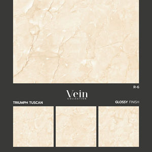 Los Más Vendidos en India, Azulejos de Porcelana para Paredes y Pisos Exteriores de Alta Calidad con Acabado Brillante, Antideslizantes, de Buen Diseño, 600x600 mm - Product Image 1