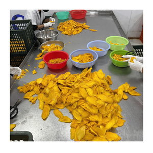Mango Deshidratado Suave al por Mayor de Fábrica, Fruta Tropical de Calidad Premium de Vietnam, Proveedor de Exportación de Fabricación OEM - Product Image 4