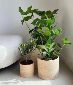 Jardinière en marbre travertin artisanal, pot à plantes en pierre naturelle, pot à fleurs décoratif d'intérieur, décoration de jardin à domicile - Product Image 4