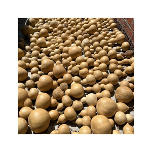 Vaisselle Artisanale Écologique en Gourde de Calabash : Excellent Rapport Qualité-Prix pour le Service Alimentaire et la Décoration de Table – Idéal pour les Importateurs - Product Image 6