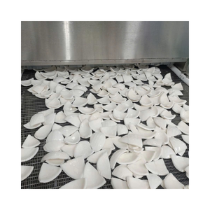 Frozen Coconut Meat White Pieces Shred Coconut Bulk Vacuum Pack for Dessert Beverage and Food Processing - Product Image 5