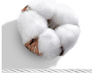 Ensemble short et veste coupe-vent en nylon personnalisé, taille standard, ensemble 2 pièces, veste coupe-vent en nylon colorblock, ensemble short pour homme - Product Image 5