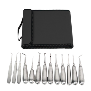 Juego de 13 Elevadores Dentales de Acero Inoxidable, Instrumentos de Cirugía Oral, Kit de Extracción de Dientes, Profesional - Product Image 1