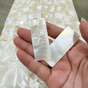 Fragmentes décoratifs de nacre pour la résine, la mosaïque et les projets artistiques - Product Image 1