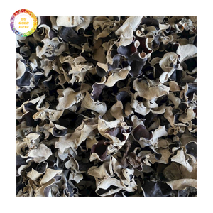 Hongo Oreja de Pana Seco a Granel para Comercio Internacional con Capacidad de Suministro Estable - Product Image 5