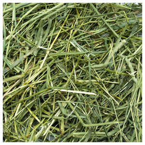 Heno Natural de Timothy para Conejos y Cobayas, Compra al por Mayor, Ofertas a Nivel Mundial - Product Image 2