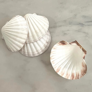 Suministros para manualidades, conchas de vieira blancas, oferta con descuento, conchas marinas naturales al por mayor. - Product Image 3