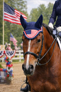 Horse wear Horse care Product Horse USA Flag Ear <b>Bonnet</b> with Rope Closure Washable Horse Fly <b>Bonnets</b> - Product Image 3
