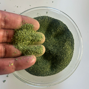 Hojas de Moringa Secas 100% Hojas Sin Tallos Calidad Premium Grado Natural Proveedor a Granel Envío a Todo el Mundo - Product Image 1