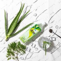 Vente en gros de boissons Alo Vera de 500ml avec saveurs de fruits Échantillon gratuit OEM ODM et emballage en bouteille de conception privée