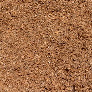 Substrat de tourbe de coco biologique pour le jardinage, l'horticulture, la production en pépinière et les applications de culture de plantes - Product Image 6