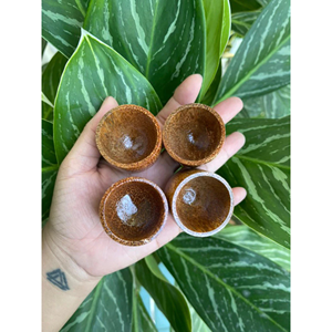 Juego de teteras de coco hecho a mano con cáscara de coco y madera para servir té, decoración del hogar, regalo, proveedor de Vietnam - Product Image 6