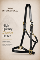 Harnais de cheval en cuir haut de gamme, modèle DI'LH'020, fabricant OEM d'Uttar Pradesh, Inde, Divine International