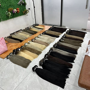 Extensions de cheveux vietnamiens Remy pré-collées à la kératine, longueur 8-38 pouces, modèle 009, 100g, fabriquées à Hanoï - Vietnam - Product Image 1